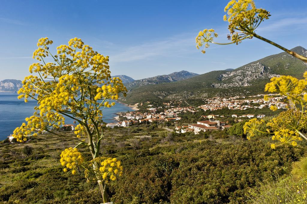 Hotel Brancamaria Cala Gonone Exteriér fotografie